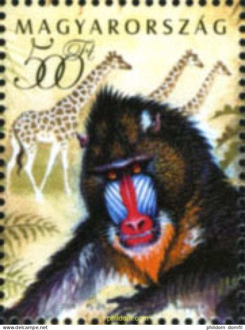 189512 MNH HUNGRIA 2006 140 ANIVERSARIO DEL ZOO Y JARDIN BOTANICO DE BUDAPEST - Araignées