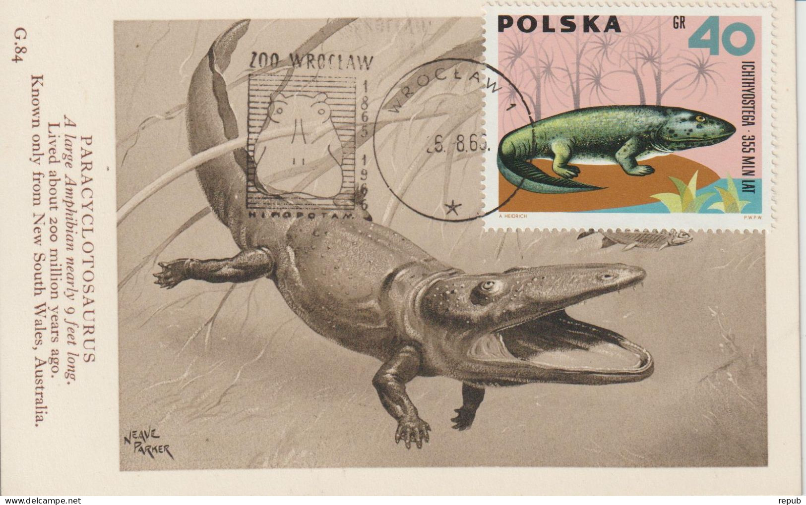 Pologne Carte Maximum 1966 Animaux Préhistoriques 1508 - Cartoline Maximum