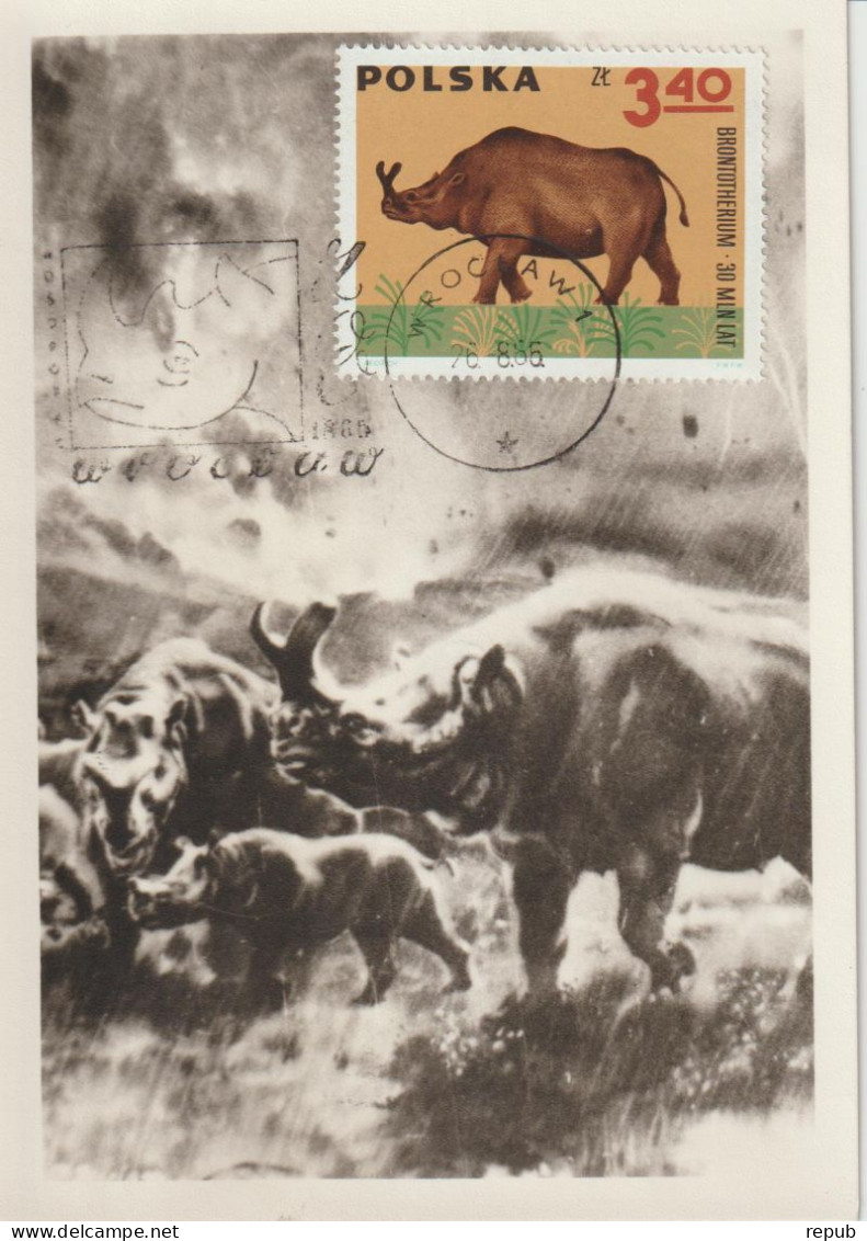 Pologne Carte Maximum 1966 Animaux Préhistoriques 1512 - Maximum Cards