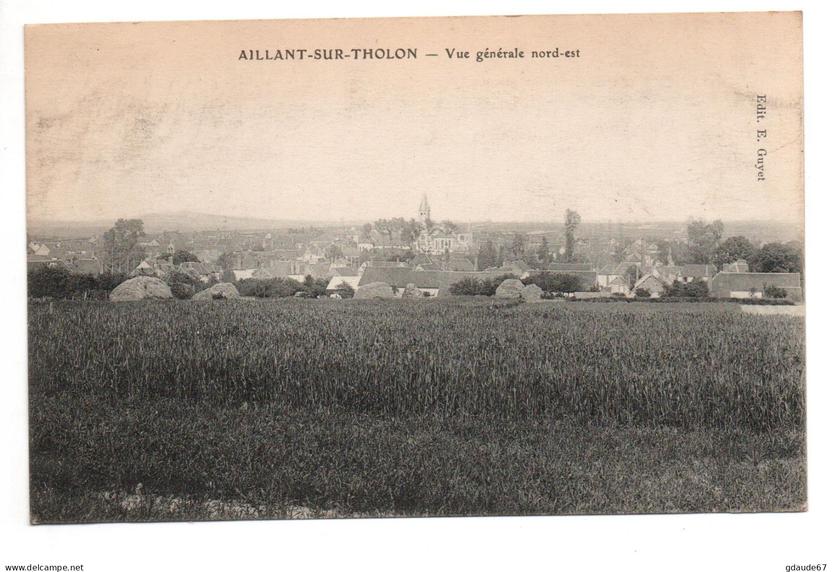 AILLANT SUR THOLON (89) - VUE GENERALE NORD EST - Aillant Sur Tholon