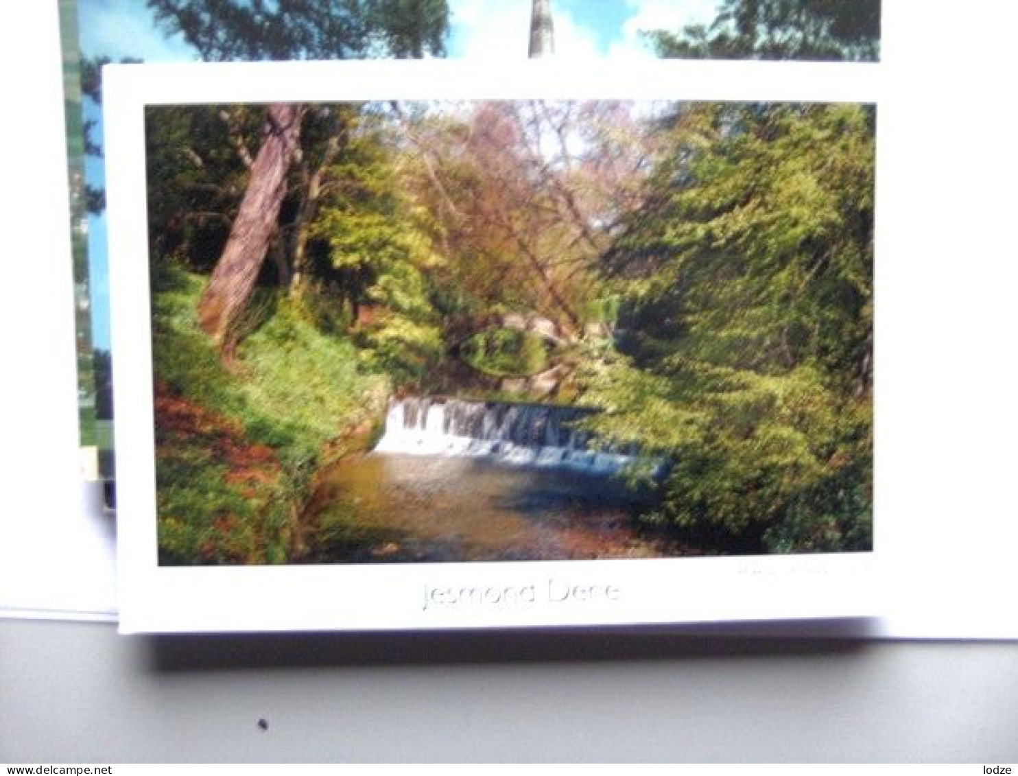 Engeland England Newcastle Upon Tyne Jesmond Dene - Newcastle-upon-Tyne