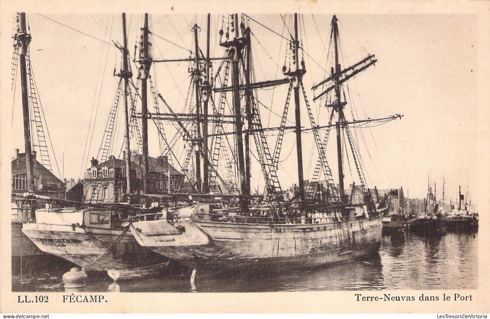 BATEAUX - Pêche - Terre Neuvas Dans Le Port - Fécamp- LL - Carte Postale Ancienne - Pesca