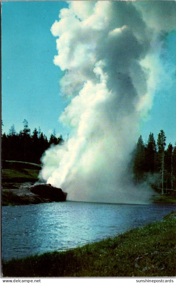 Yellowstone National Park Riverside Geyser Upper Geyser Basin 1962 - Parques Nacionales USA