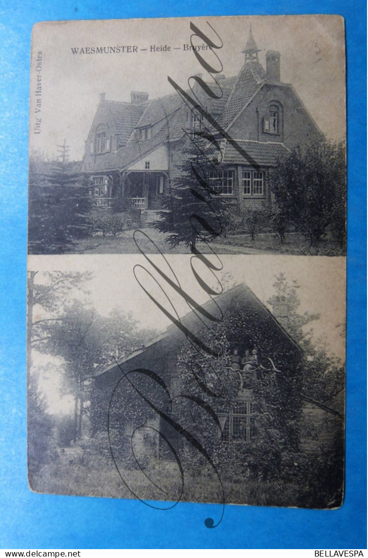 Waasmunster  Heide Bruyère. Duoview 1921 - Waasmunster