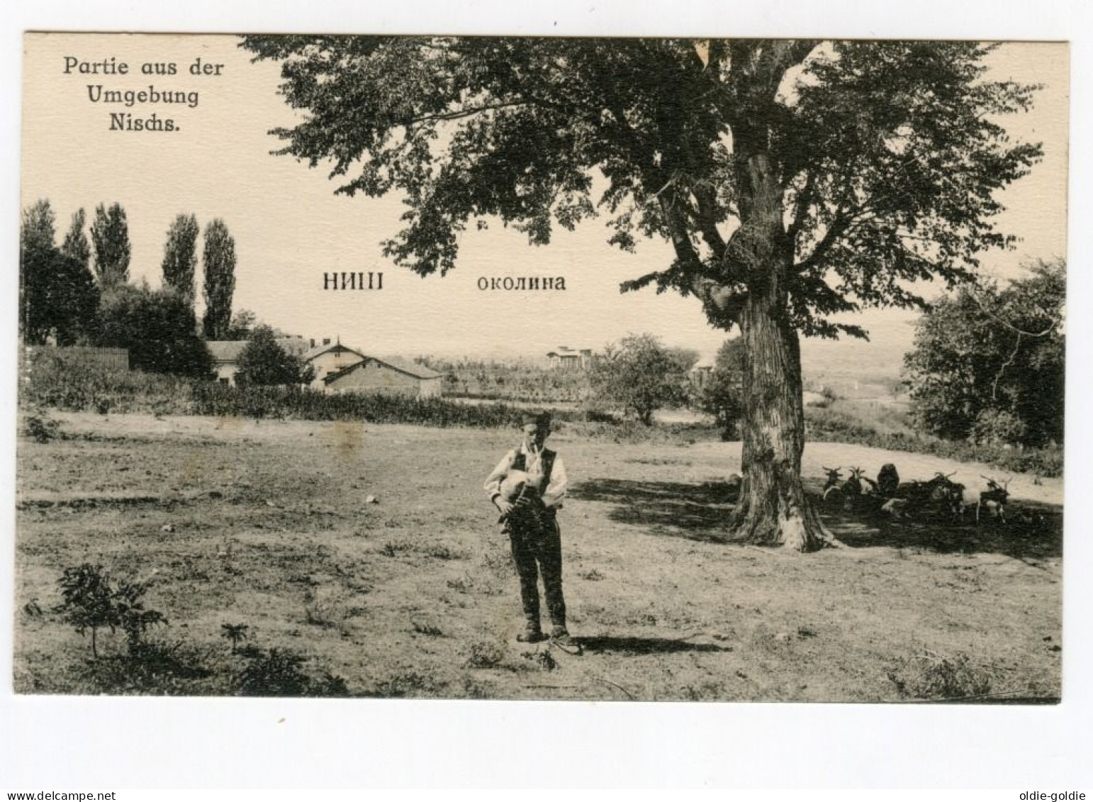 Joueur De Cornemuse Bagpipe Player Piper Dudelsack Music Instrument Rare Early Postcard - Photographs