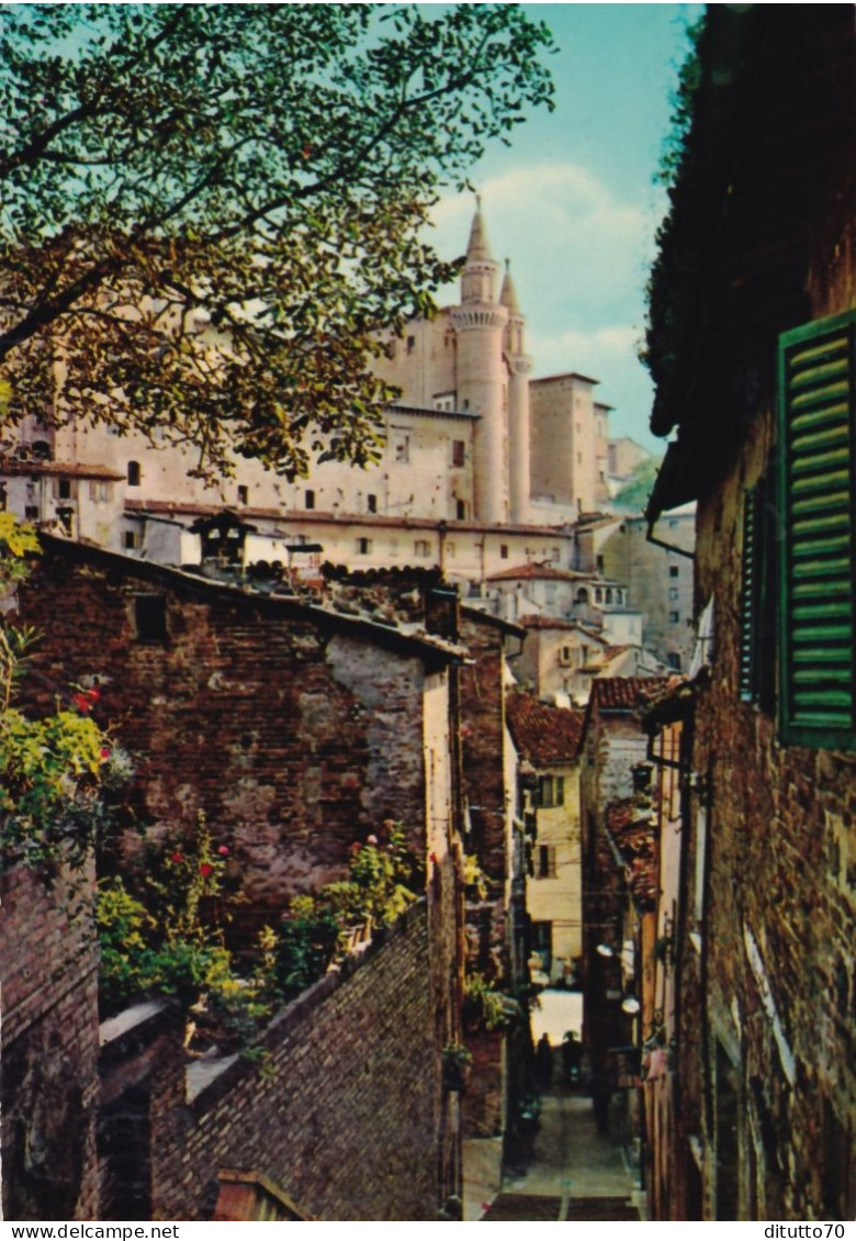 Urbino - I Torrioni Visti Da S.giovanni - Formato Grande Non Viaggiata – FE170 - Urbino