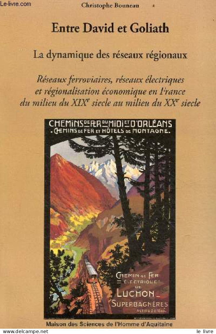 Entre David Et Goliath - La Dynamique Des Réseaux Régionaux - Réseaux Ferroviaires, Réseaux électriques Et Régionalisati - Railway & Tramway