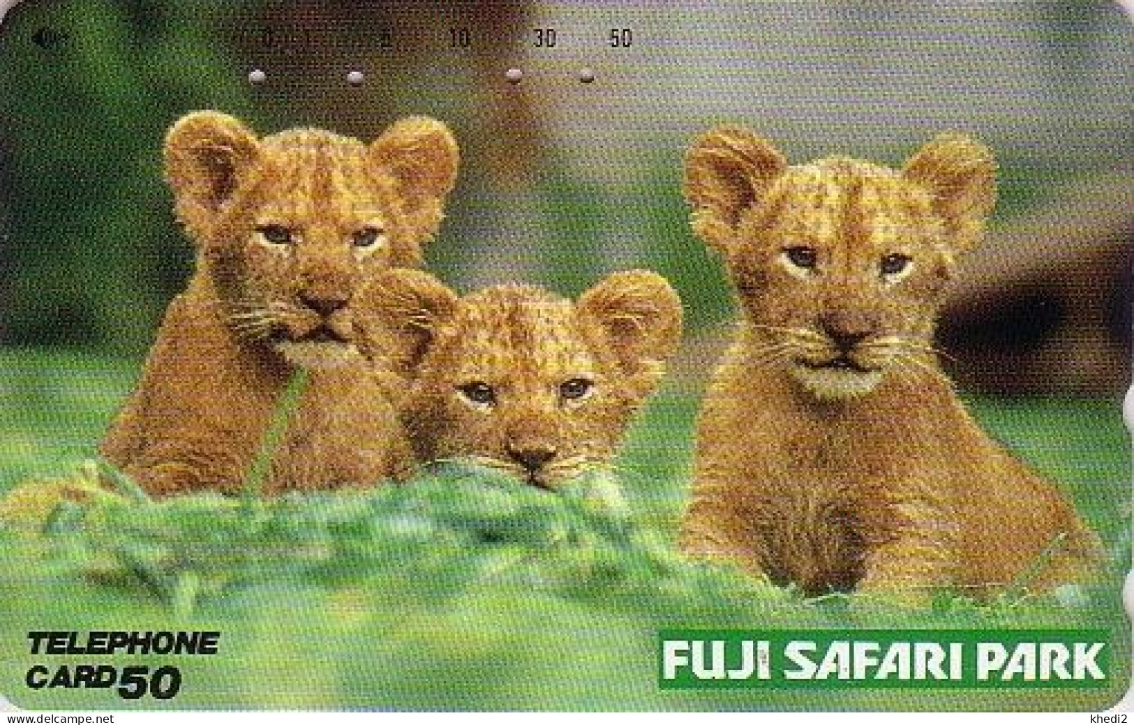 Télécarte JAPON / 290-28963 - ANIMAL - Félin LION / SERIE FUJI SAFARI PARK - Feline JAPAN Free Phonecard - LÖWE - BE 612 - Dschungel