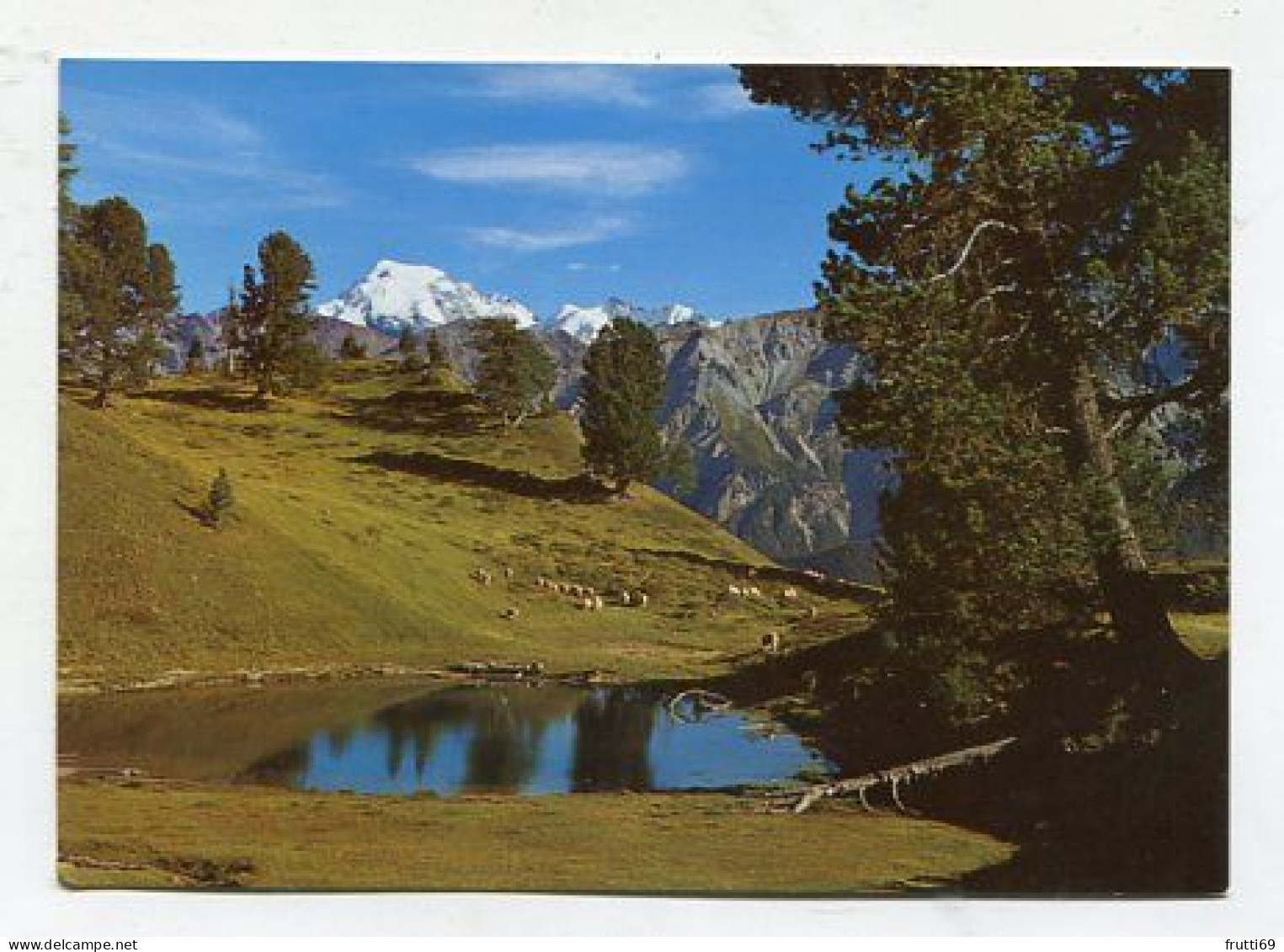 AK 124425 SWITZERLAND - Arvenwald Von Juata Mit Blick Auf Ortlergruppe - Val Müstair - Val Müstair