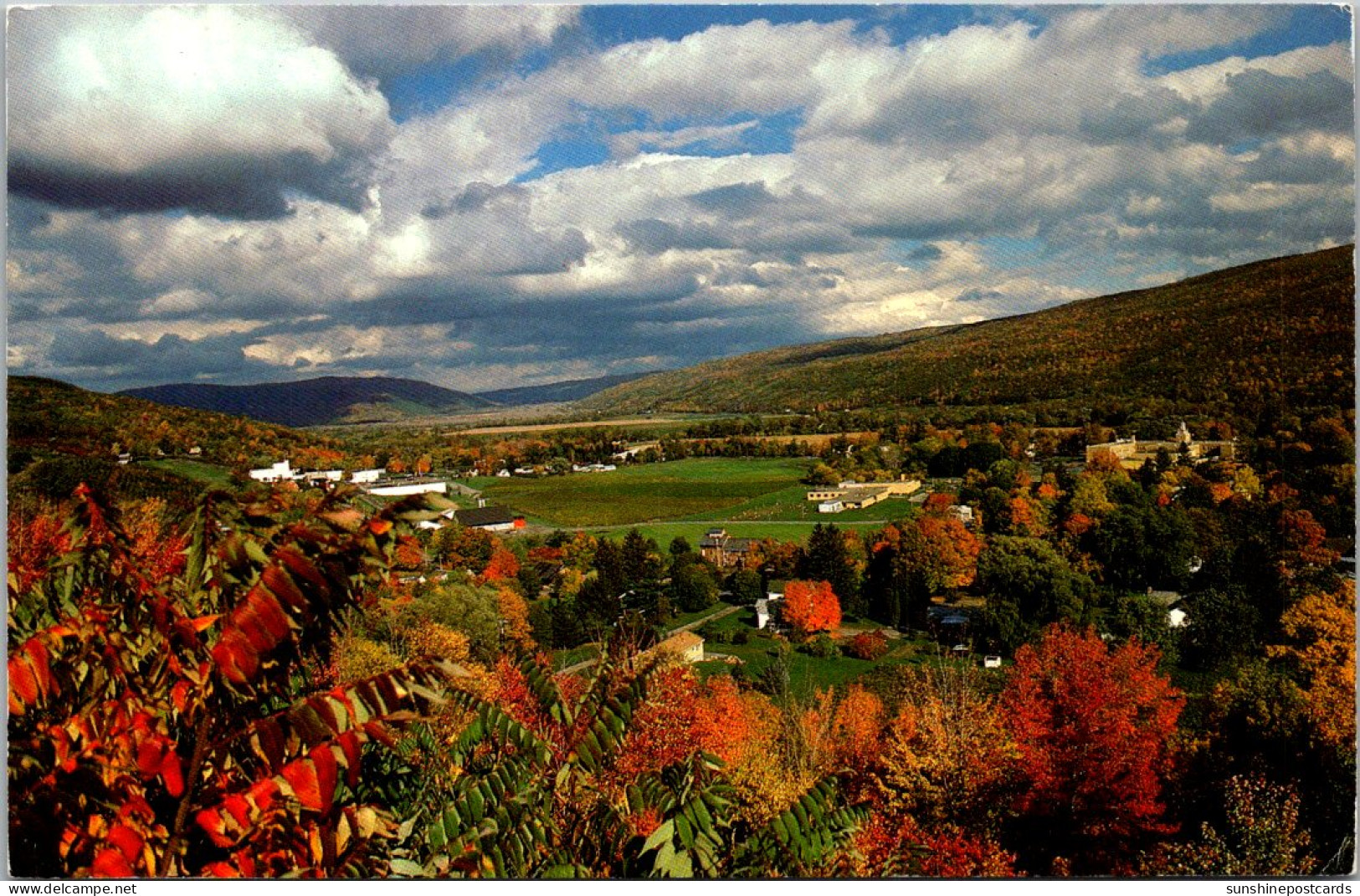 New York Finger Lakes Region Naples Valley Showing Naples - Long Island