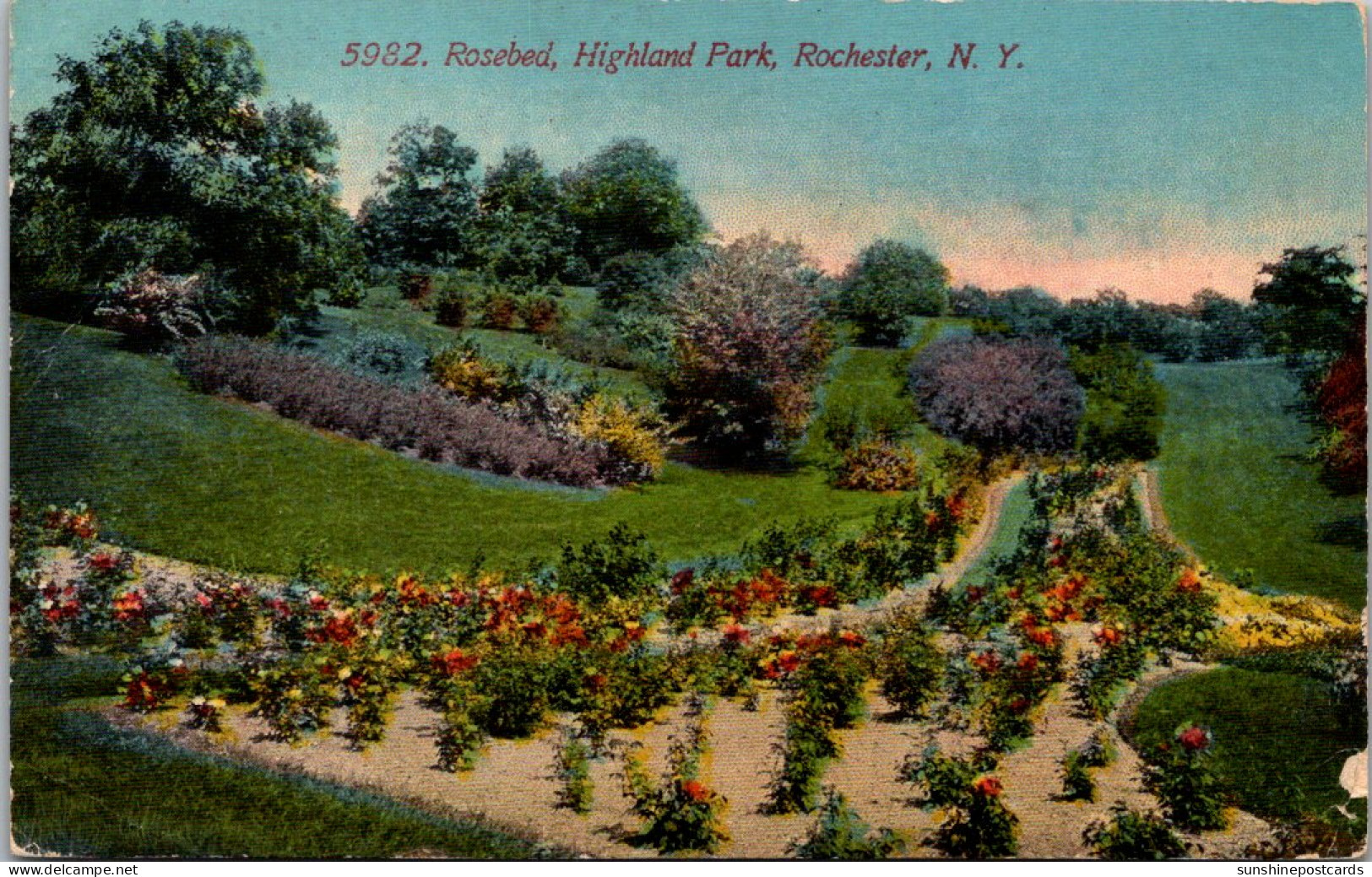 New York Rochester Highland Park Rosebed 1912 - Rochester