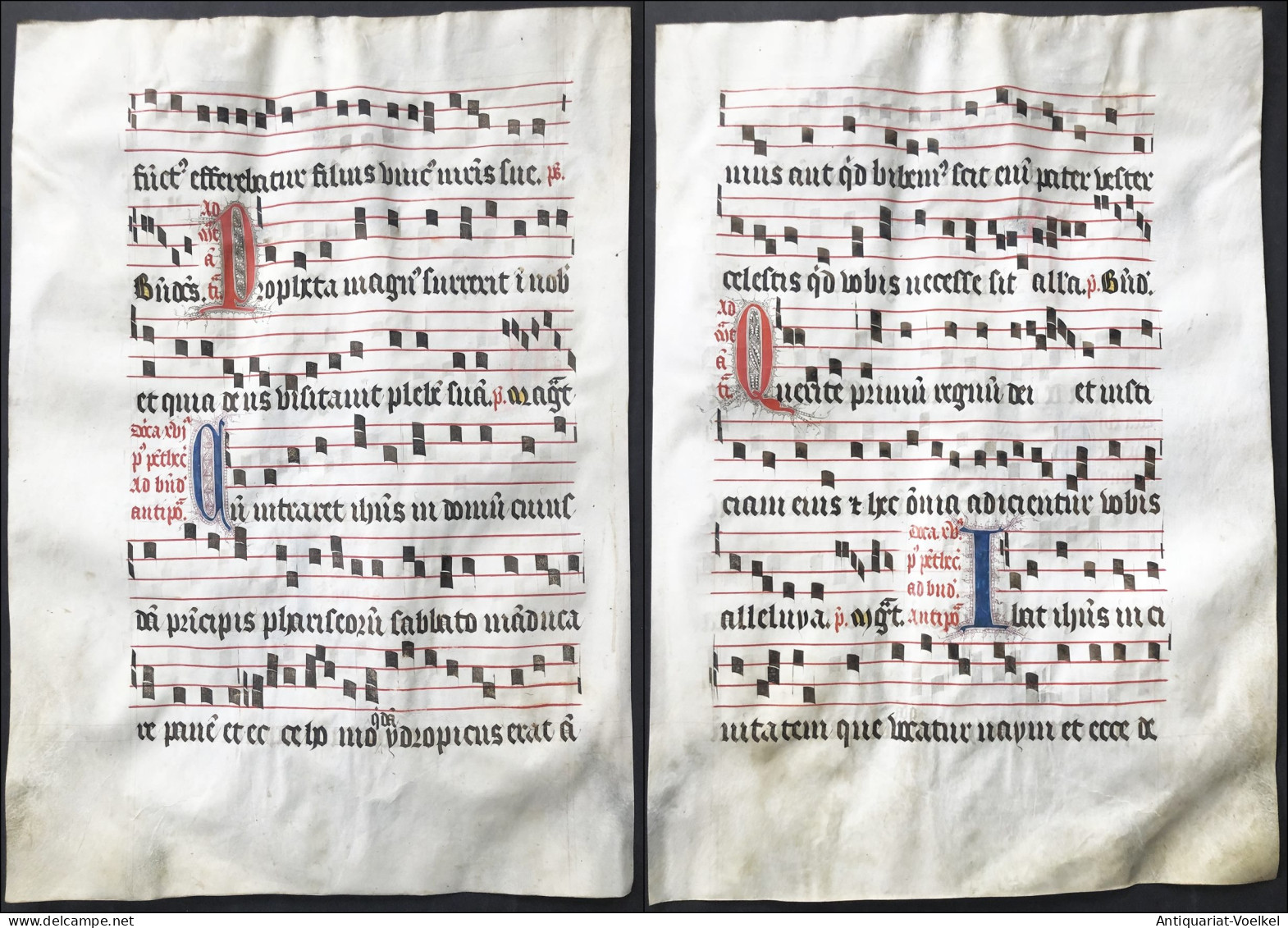 Very Rare Large Elephant Folio Vellum Sheet. Out Of An Antiphonary Manuscript From The 15th Century. / Seltene - Theater & Drehbücher