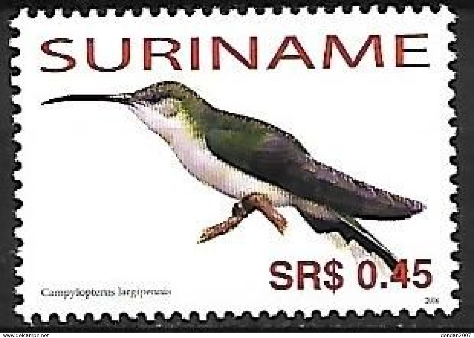 Suriname (Surinam) - MNH ** 2006 :    Grey-breasted Sabrewing  -  Campylopterus Largipennis - Kolibries