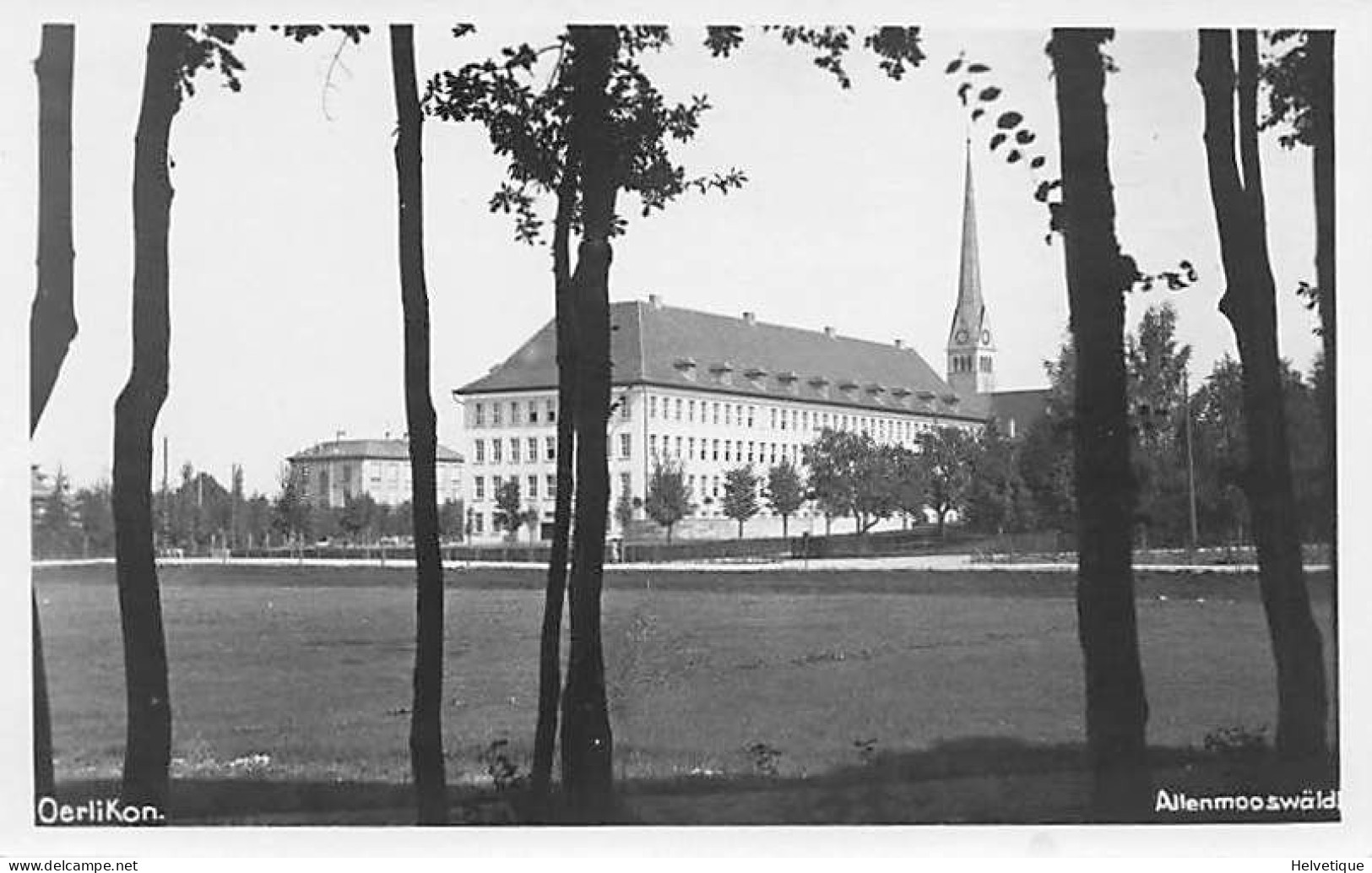 Oerlikon Allenmoosweldli Wäldli - Wald