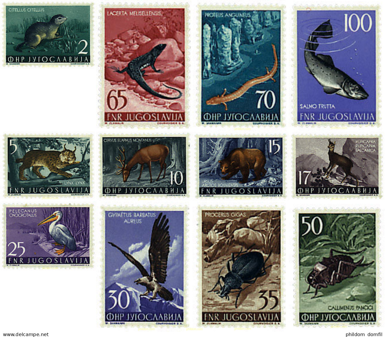 349390 HINGED YUGOSLAVIA 1954 FAUNA - Spinnen