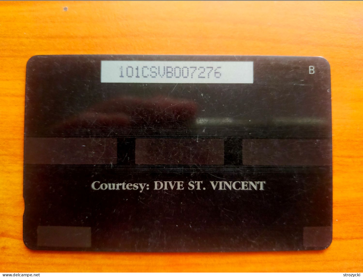 St. Vincent & The Grenadines - Giant Sea Anemone - 101CSVB - San Vicente Y Las Granadinas