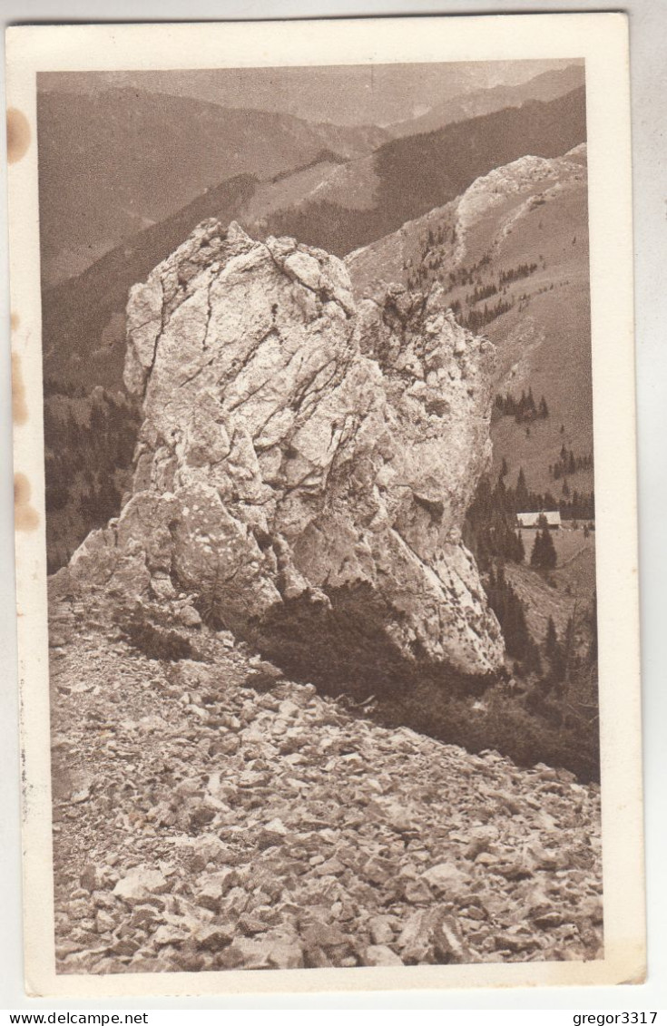 C6420) SPARBACHERHÜTTE Vom FADENSTEIG - Schneeberg 1930 ! - Schneeberggebiet