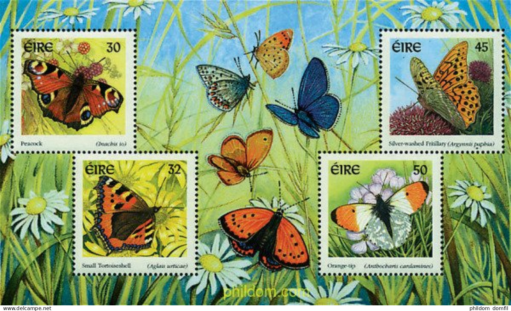 94864 MNH IRLANDA 2000 MARIPOSAS - Araignées