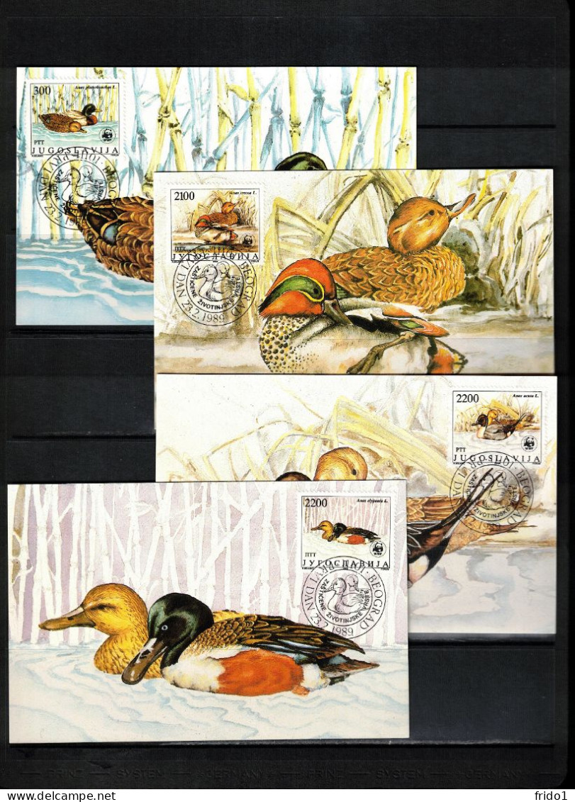 Jugoslawien / Yugoslavia 1989 WWF Ducks Maximum Cards - Cartes-maximum