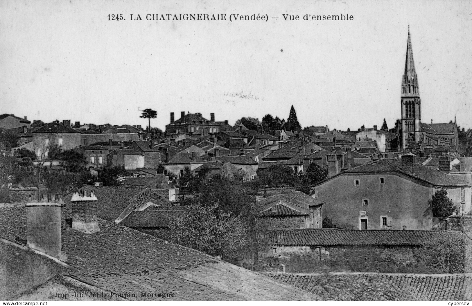 LA CHATAIGNERAIE - Vue D'ensemble - La Chataigneraie