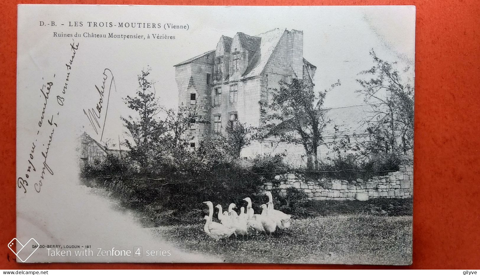 CPA (86) Les Trois Moutiers. Ruines Du  Château Montpensier, à Vézières. OIES. (Y.1996) - Les Trois Moutiers