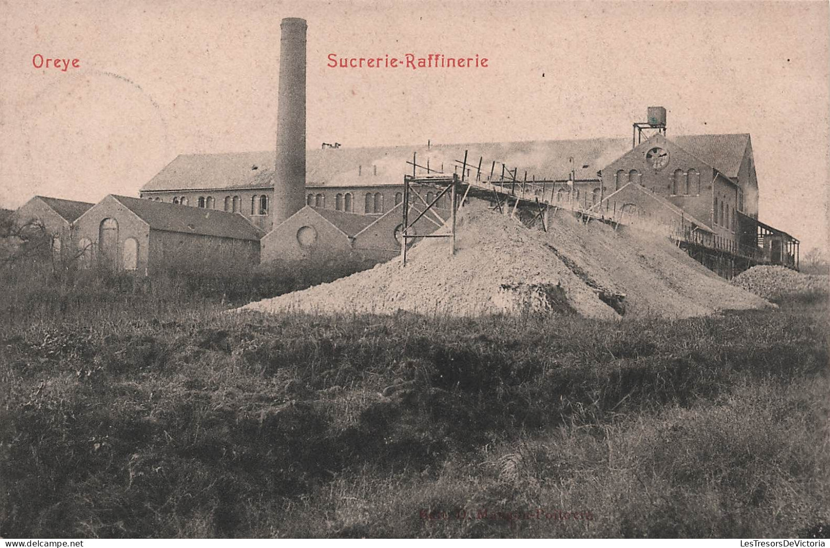 Belgique - Oreye - Sucrerie Raffinerie - Carte Postale Ancienne - Oreye