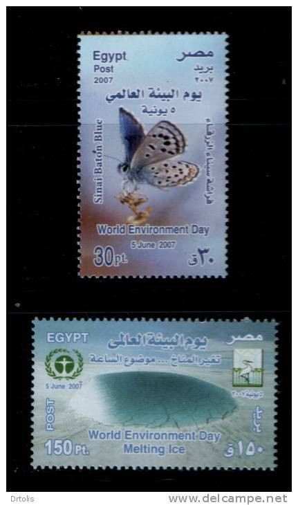 EGYPT / 2007 / World Environment Day - Melting Ice - Sinai Baton Blue /  BUTTERFLY;   BIRD / MNH / VF  . - Neufs