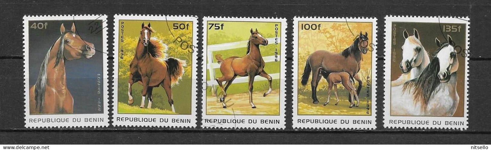 LOTE 1237A  ///  BENIN  CABALLOS - Chevaux