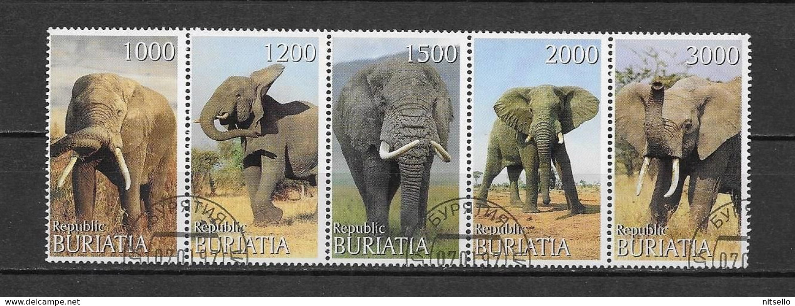 HB FAUNA  /// BURIATIA  ELEFANTES - Eléphants