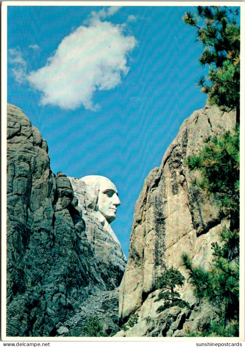 South Dakota Black Hills Mount Rushmore Profile Of Washington - Mount Rushmore