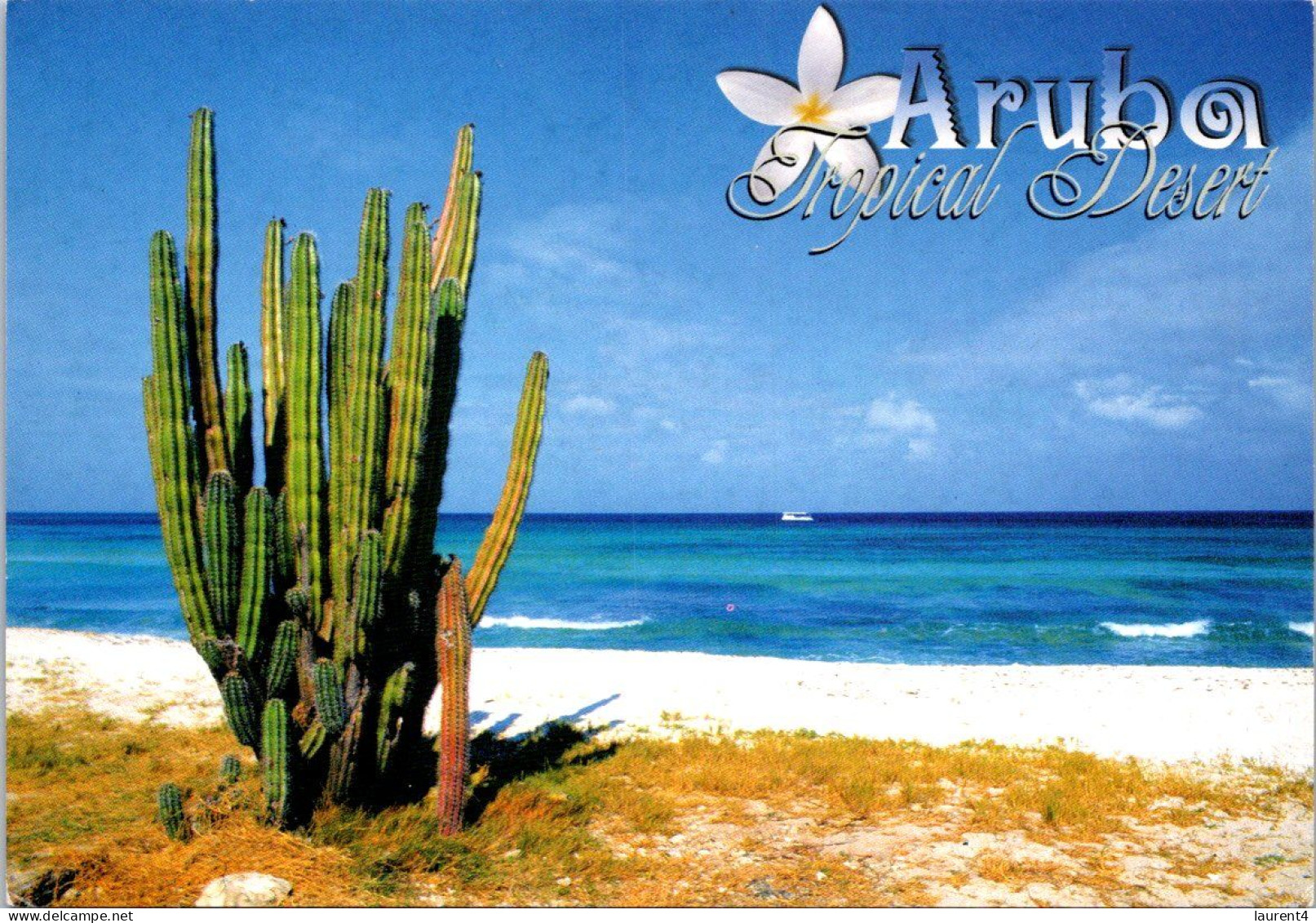 (3 P 25) Aruba (beach And Cactus) - Sukkulenten