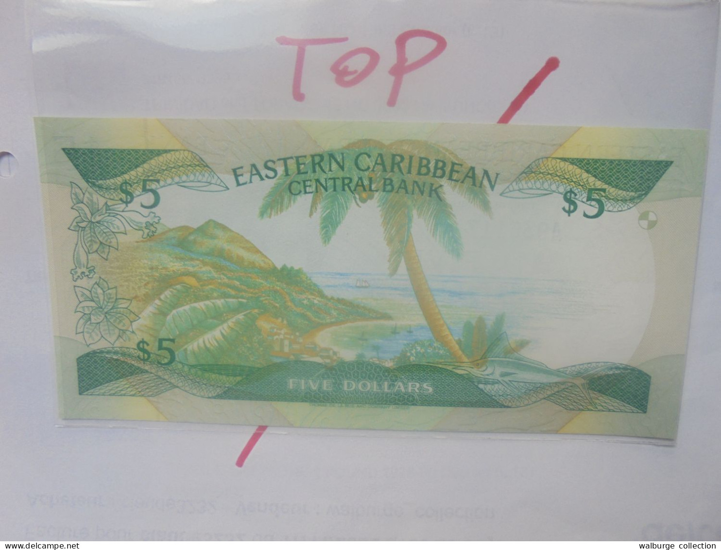 EAST-CARAIBES 5$ ND (1988-93) Neuf/UNC (B.29) - East Carribeans