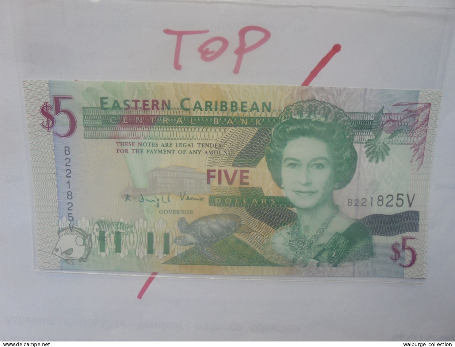 EAST-CARAIBES 5$ ND (1993)(Saint-Vincent) Neuf/UNC (B.29) - East Carribeans
