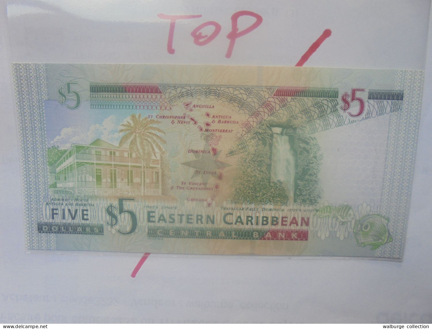 EAST-CARAIBES 5$ ND (1993)(Antigua) Neuf/UNC (B.29) - Caribes Orientales