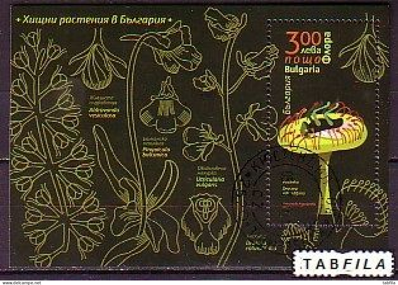 BULGARIA - 2021 - Flora - Carnivorous Plants - SS / Bl Used (O) - Oblitérés