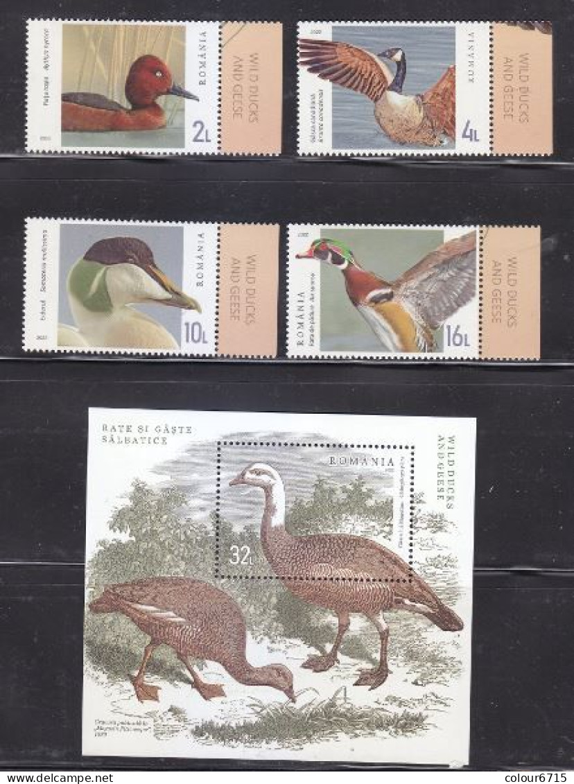 Romania 2022 Wild Ducks And Geese (stamps4v+SS/Block) MNH - Ongebruikt