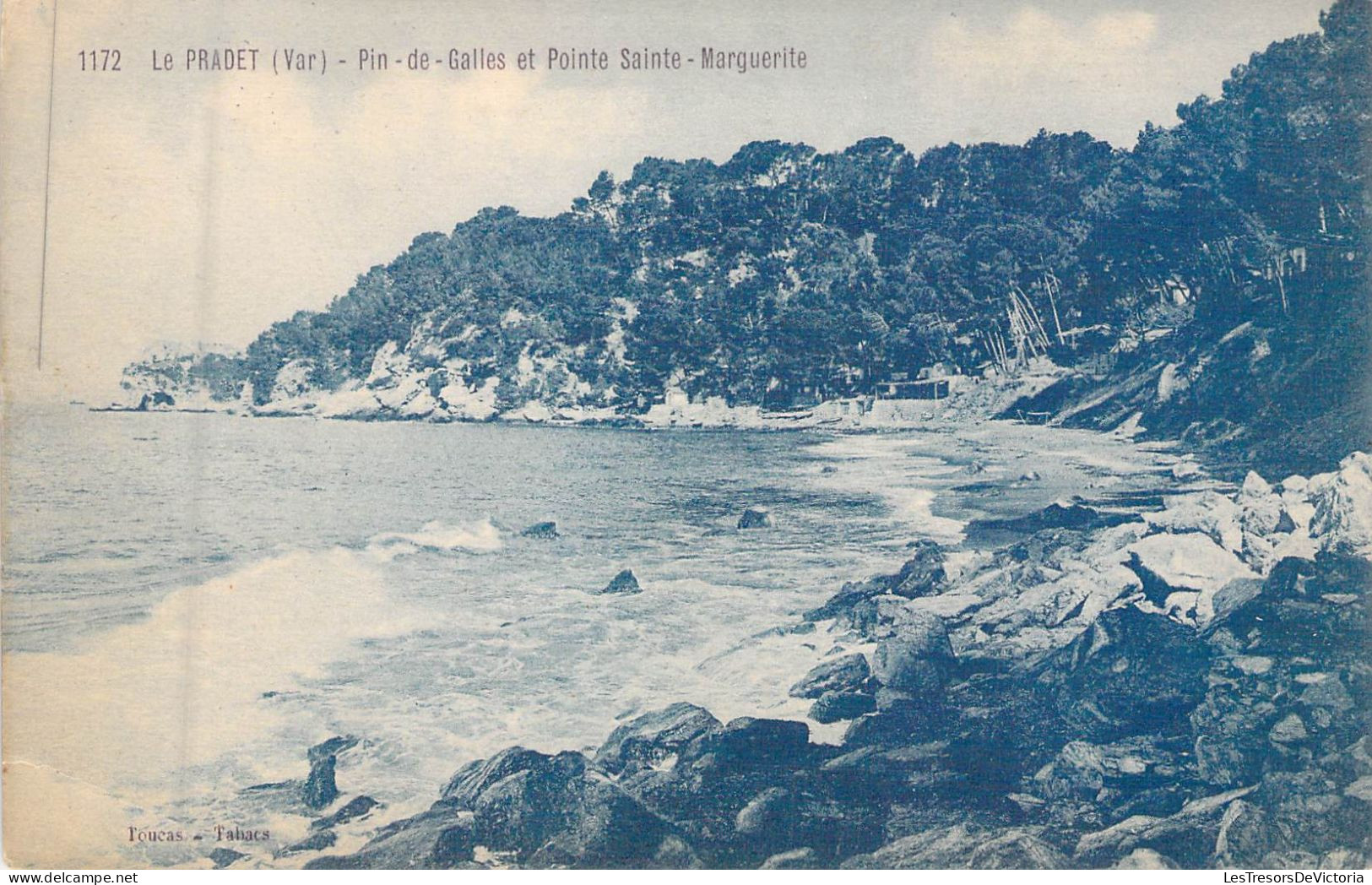 FRANCE - 83 - LE PRADET - Pin De Galles Et Pointe Sainte Marguerite - Carte Postale Ancienne - Le Pradet