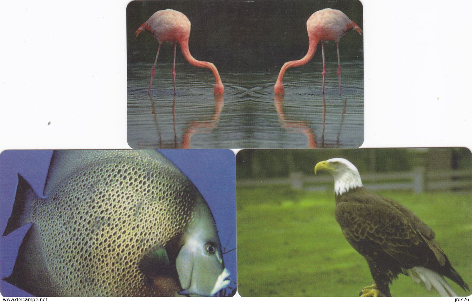 Liberia 3 Phonecards Magnetic - - - Animals - Liberia