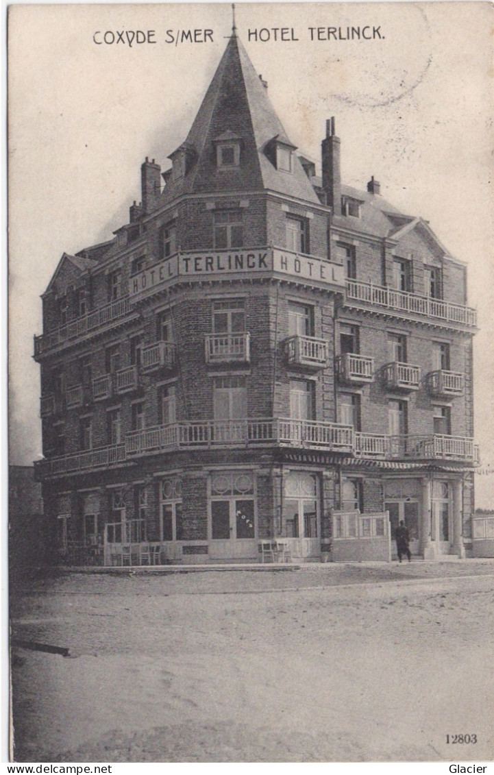 Coxyde S/ Mer - Hôtel Terlinck - N° 12803 - Koksijde