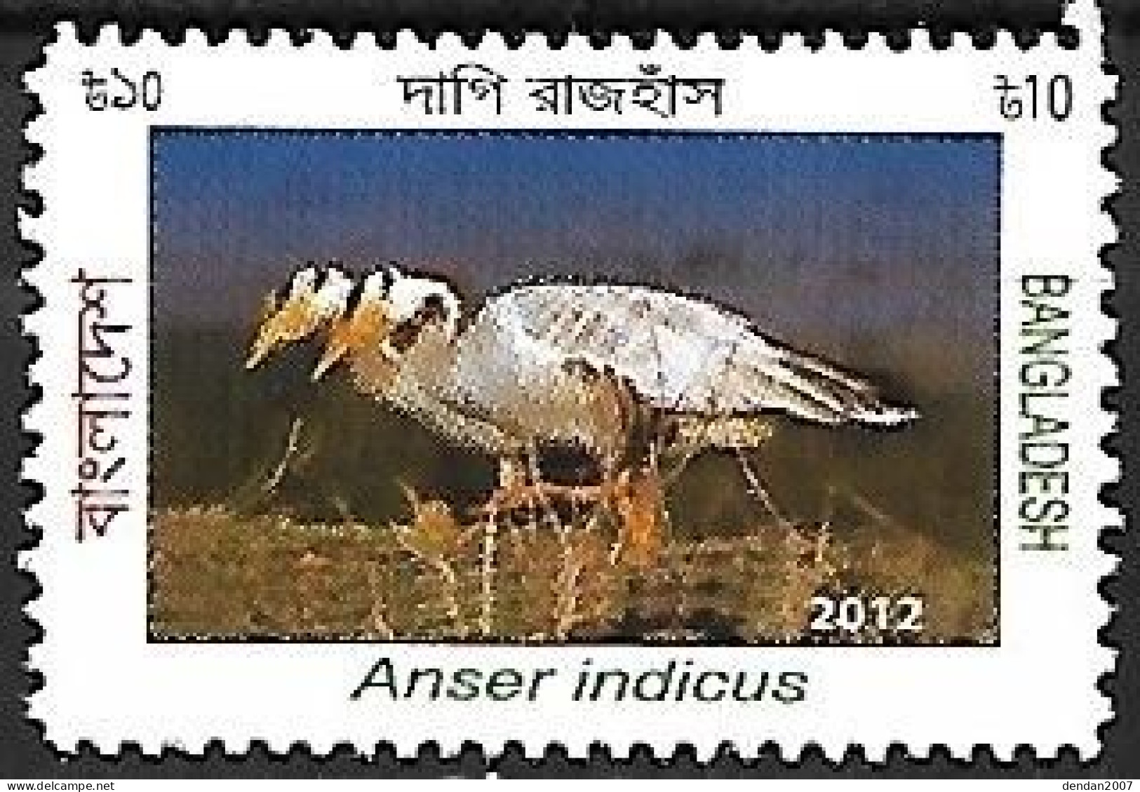 Bangladesh - MNH ** 2013 :   Bar-headed Goose  -  Anser Indicus - Oche