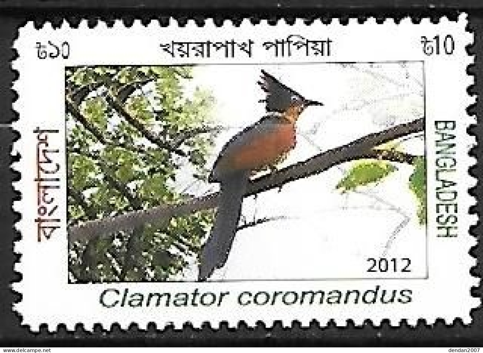 Bangladesh - MNH ** 2012 :   Chestnut-winged Cuckoo  -  Clamator Coromandus - Cuco, Cuclillos