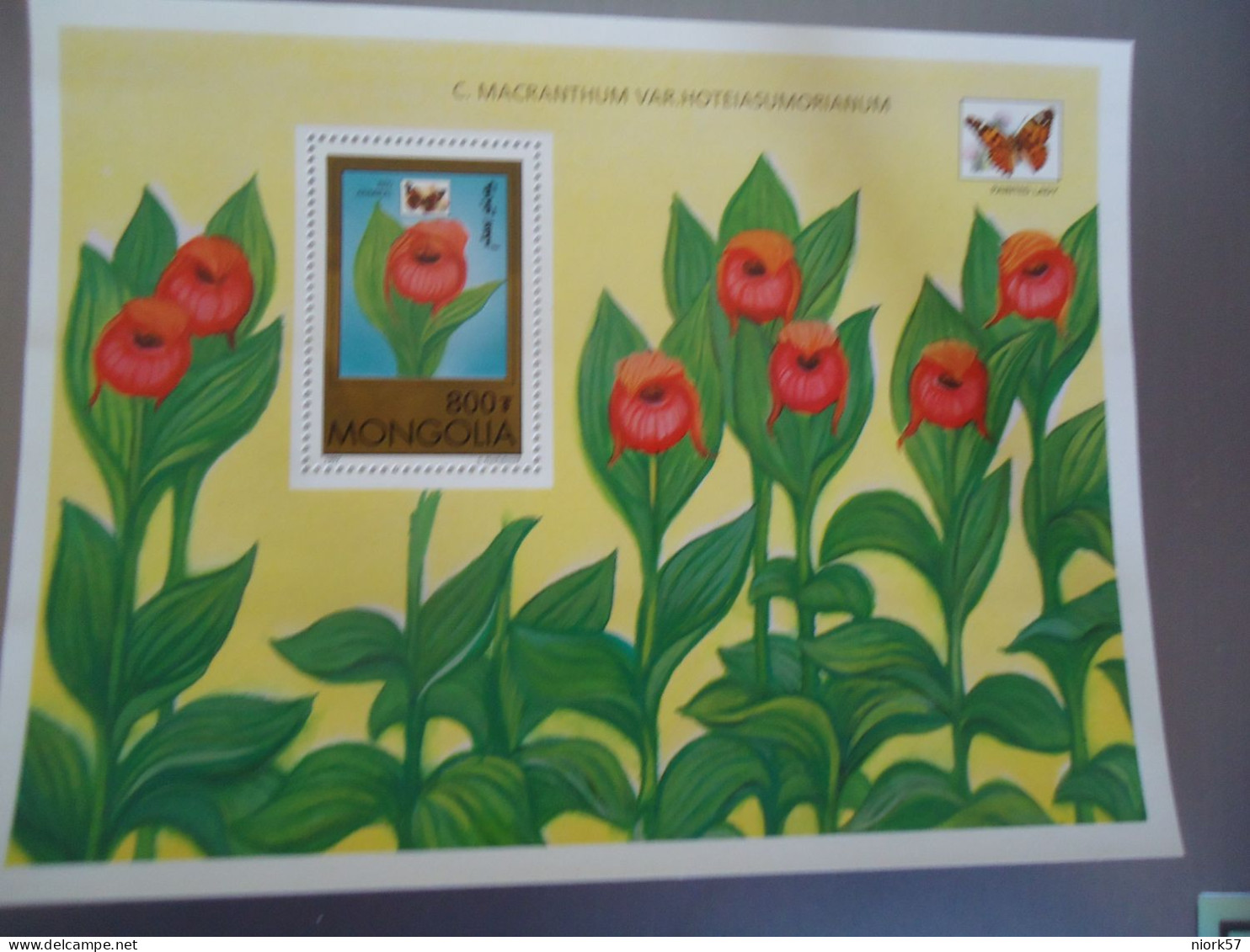 MONGOLIA   MNH SHEET    STAMPS    BUTTERFLIES AND ORCHIDS FLOWERS - Mongolie