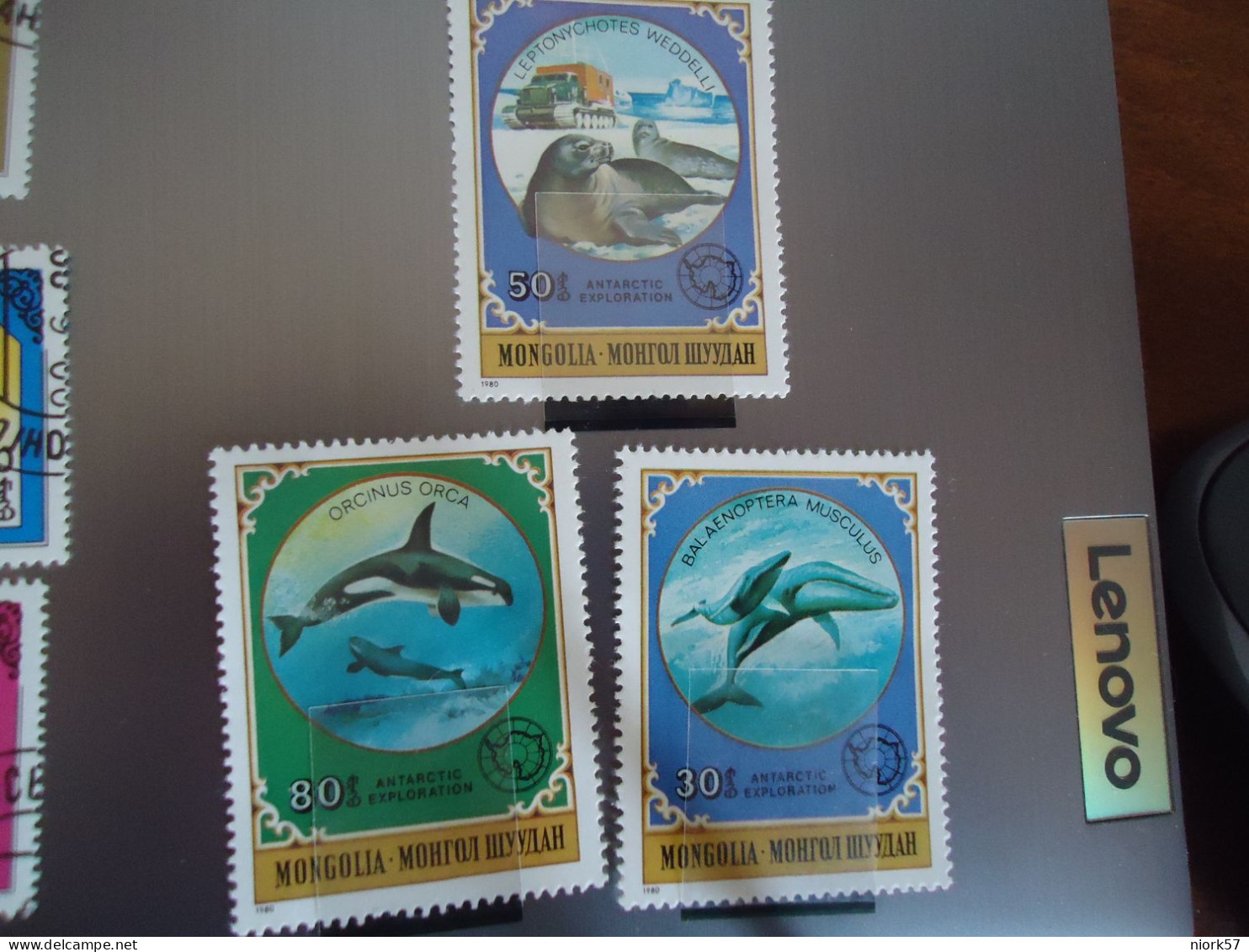 MONGOLIA   MNH    STAMPS    ANIMALS  FISHES SEA MAMALS  WHALES - Mongolie