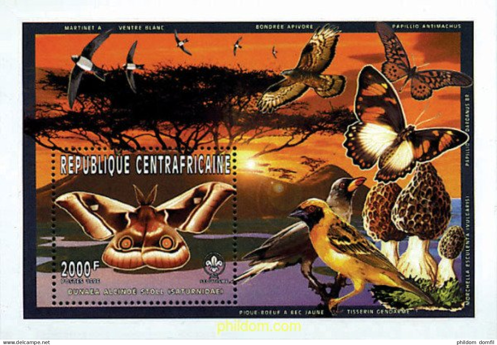 75639 MNH CENTROAFRICANA 1997 FAUNA Y FLORA. ESCULTISMO - Spiders