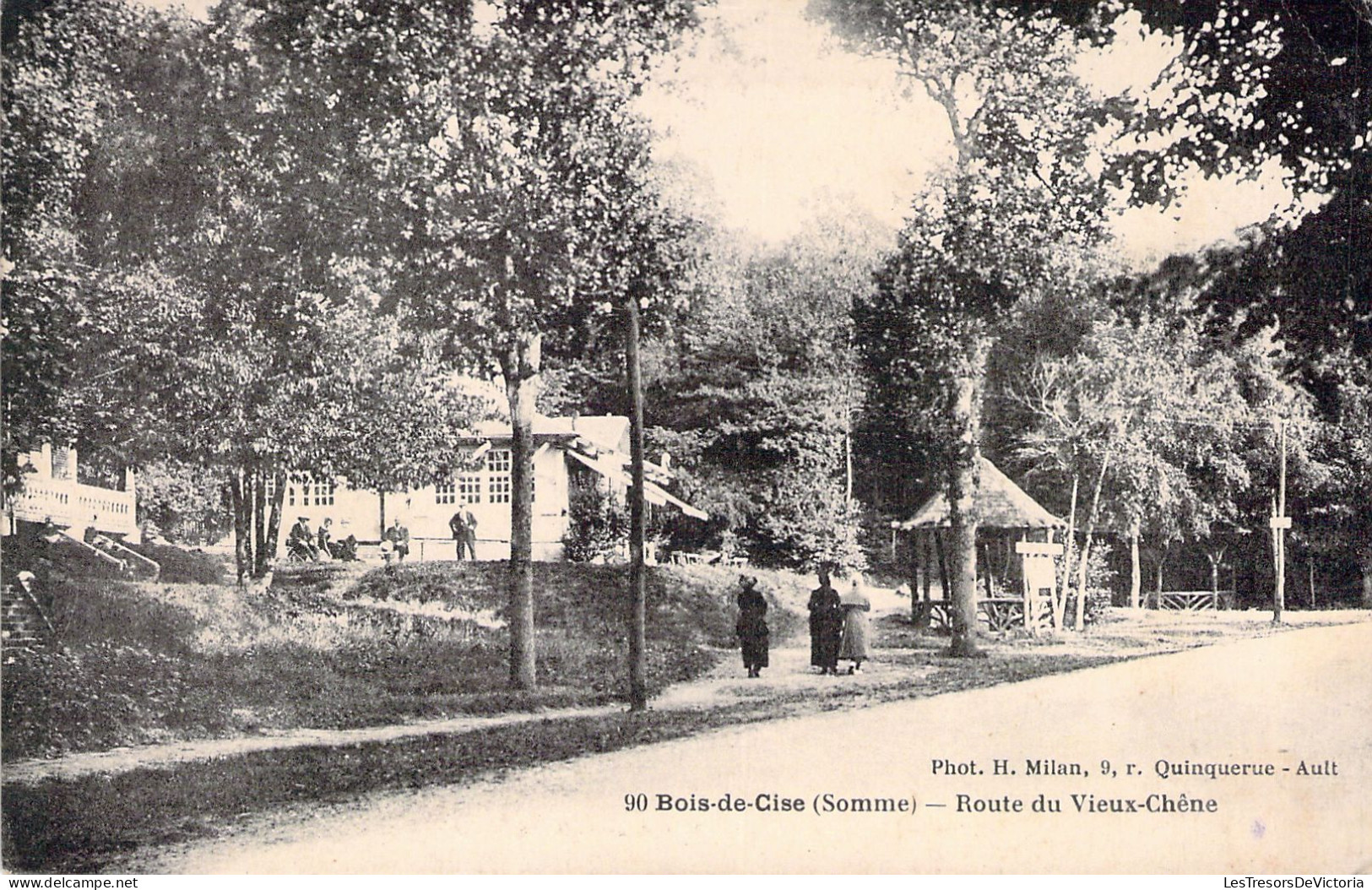 FRANCE - 80 - BOIS DE CISE - Route Du Vieux Chêne - Carte Postale Ancienne - Bois-de-Cise