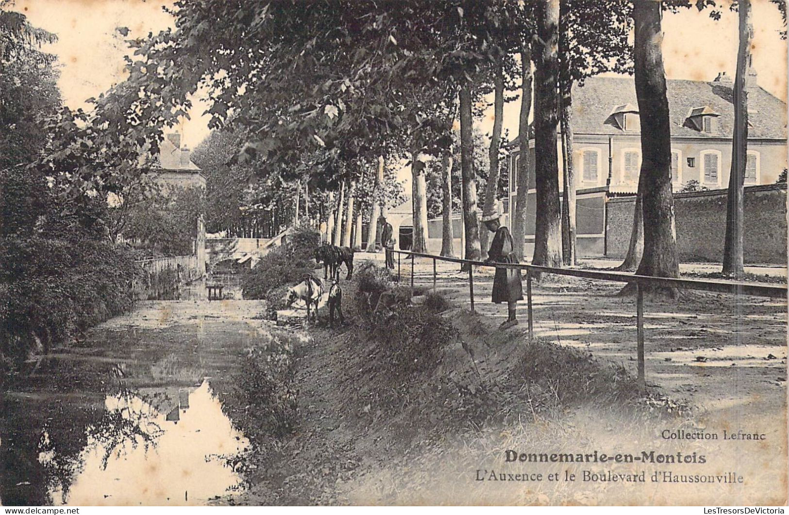 FRANCE - 77 - Donnemarie-en-Montois - L'Auxence Et Le Boulevard D'Haussonville - Carte Postale Ancienne - Other & Unclassified