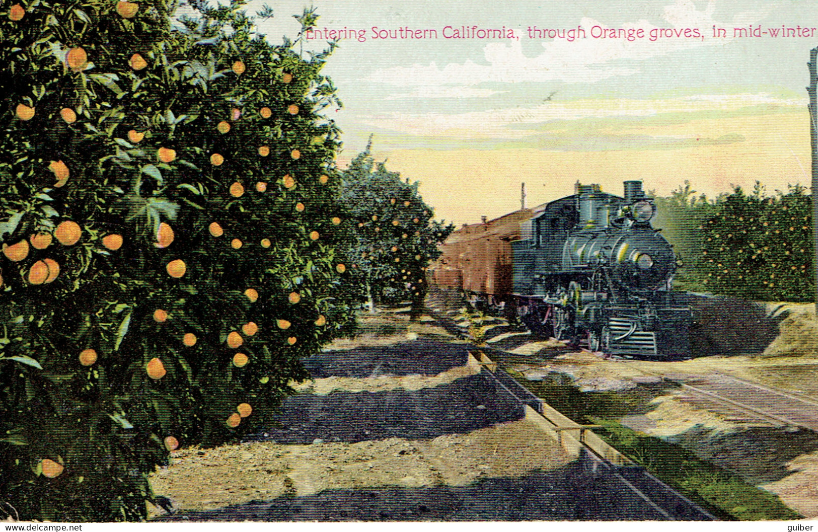 Santa Fe Train Entering Southern California Throug Orange Graves In Mid Winter Train Vapeur - Sonstige & Ohne Zuordnung