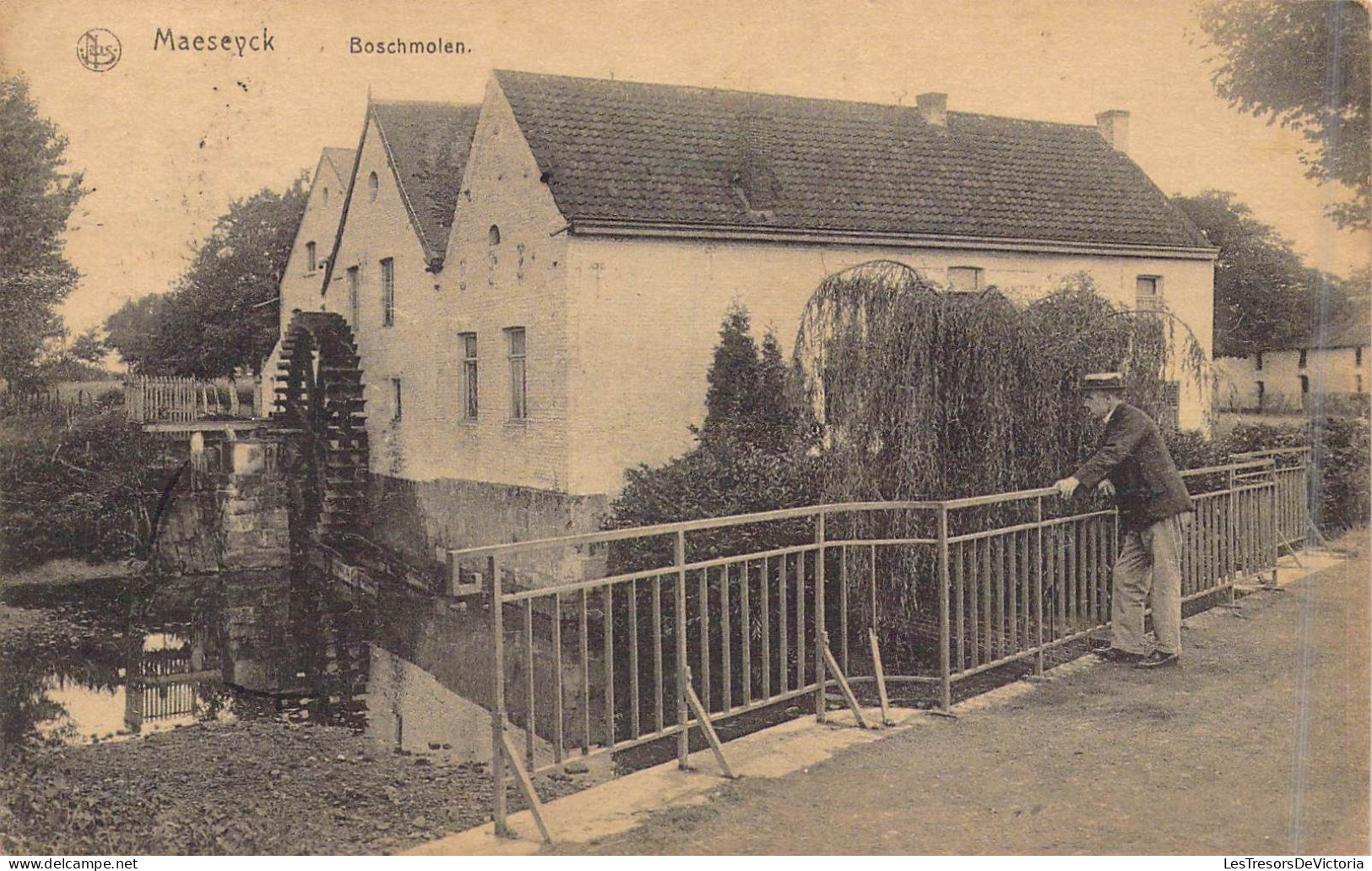 BELGIQUE - Maeseyck - Boschmolen - Carte Postale Ancienne - Andere & Zonder Classificatie