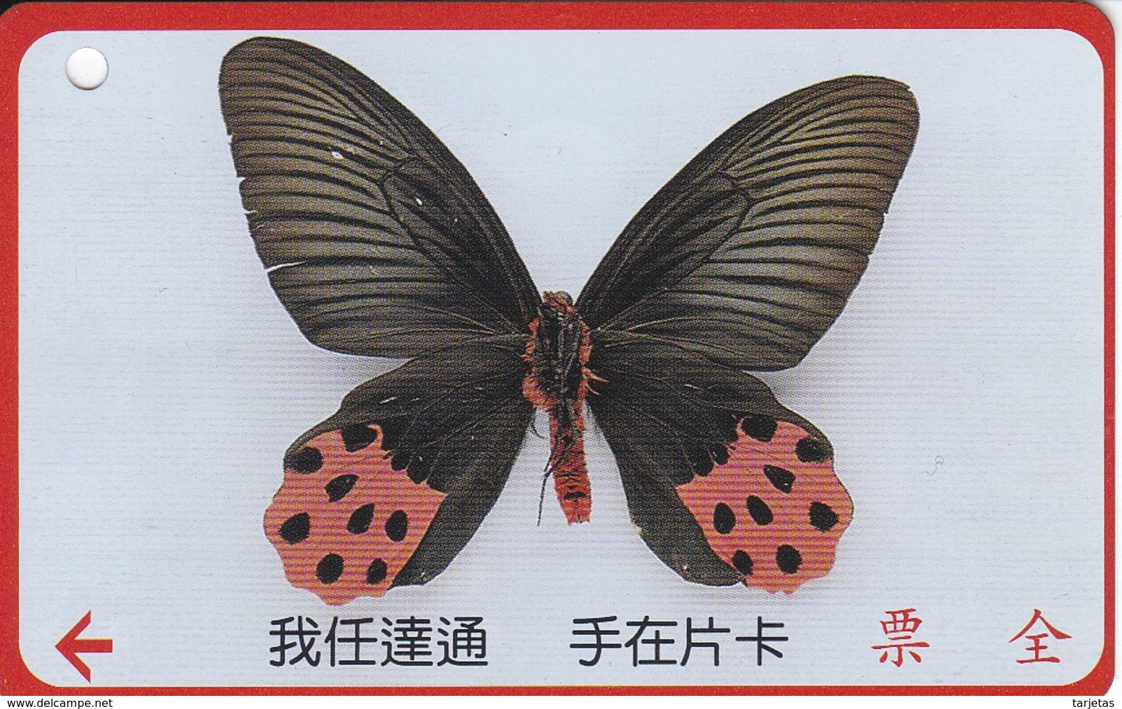 TARJETA DE TAIWAN DE UNA MARIPOSA  (BUTTERFLY) (TICKET TRANSPORTE) - Farfalle