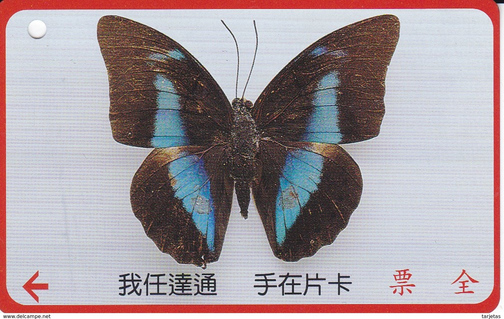 TARJETA DE TAIWAN DE UNA MARIPOSA  (BUTTERFLY) (TICKET TRANSPORTE) - Papillons